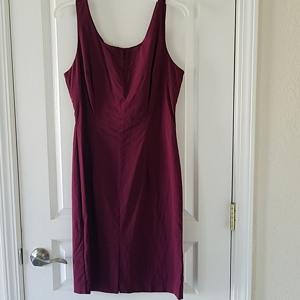 Express World Sleeveless Stretch Dress